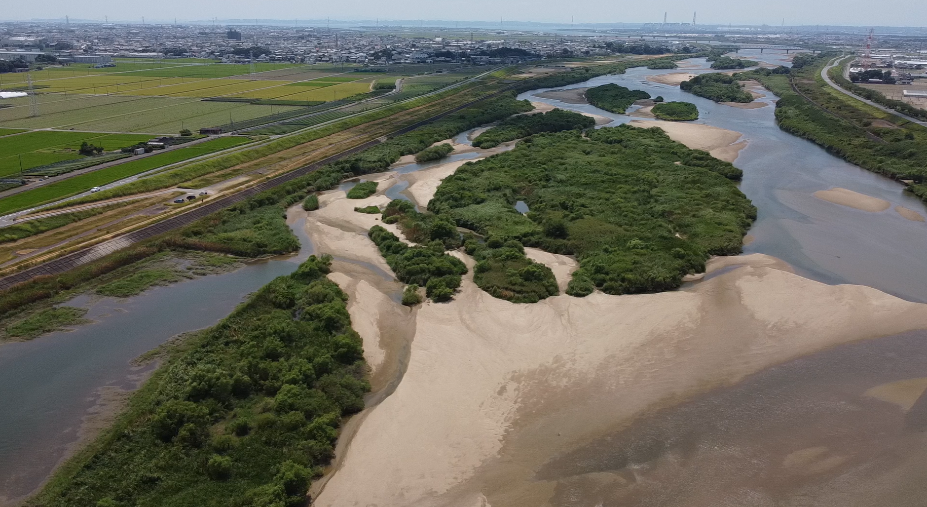矢作川下流 (入り江＝ワンドや中州）